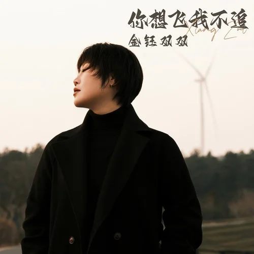 你想飛我不追-金鈺雙雙