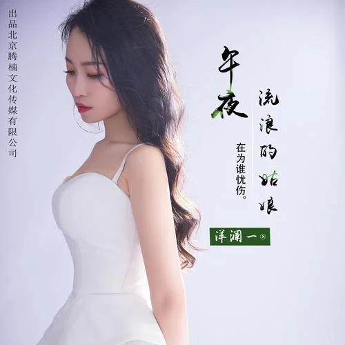 午夜流浪的姑娘-洋瀾一