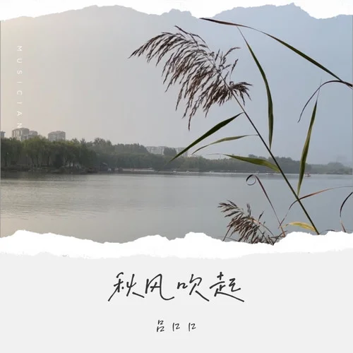 秋風(fēng)吹起-呂口口