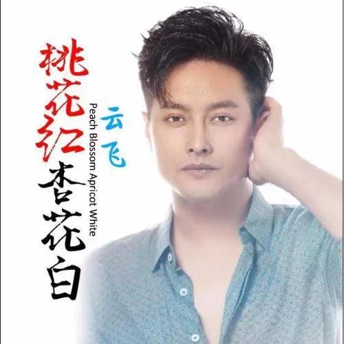 桃花红杏花白-云飞