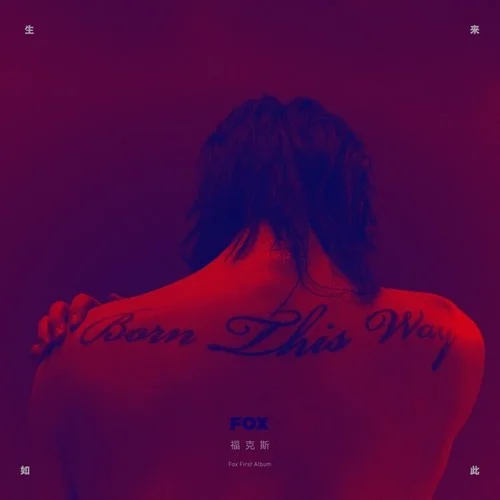 入世之道-FOX胡天渝