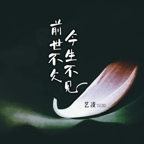 前世不欠今生不見-藝凌