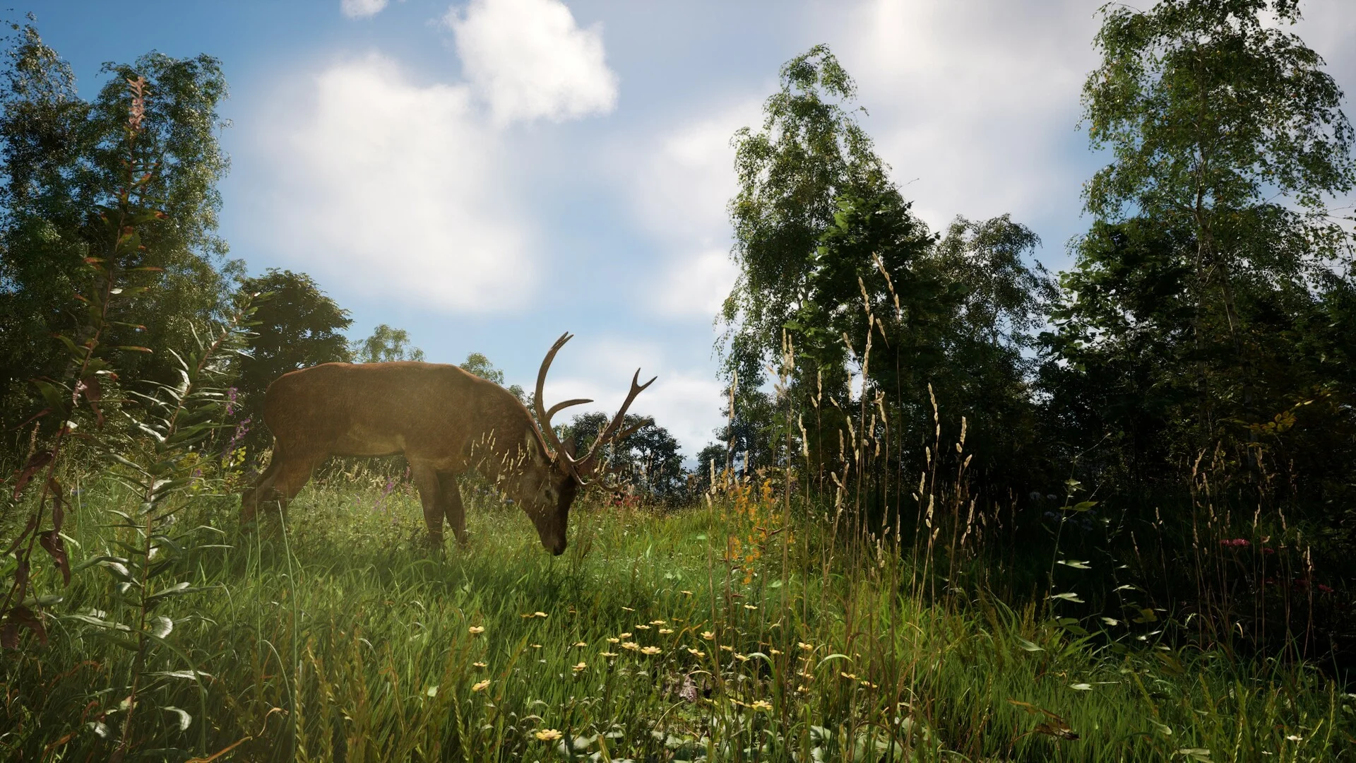 《恐惧地带》v1.3.9.1中文版