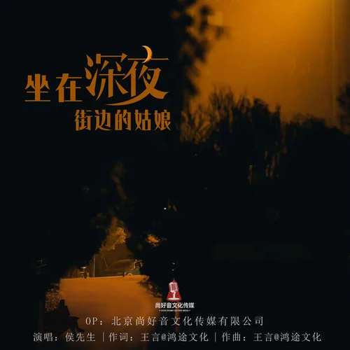 坐在深夜街邊的姑娘(DJ阿遠版)-侯先生