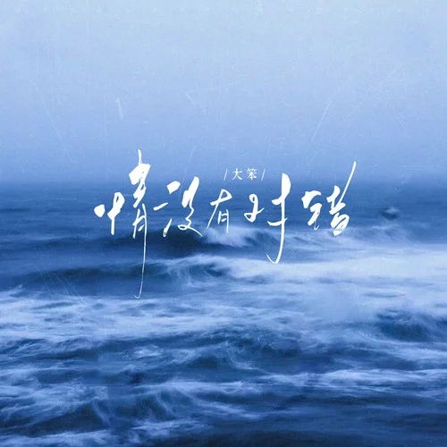 情沒有對錯 (DJ版)-大笨