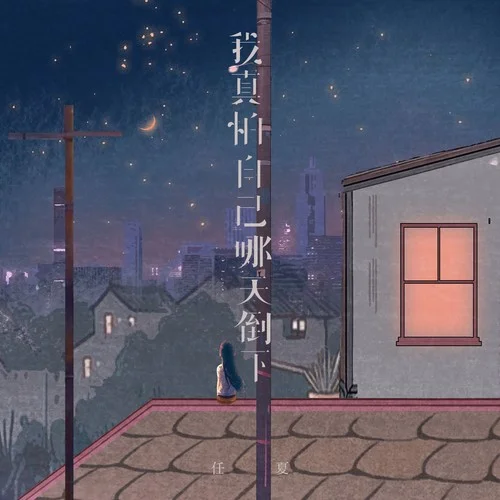 我真怕自己哪天倒下(DJ Eva版)-任夏