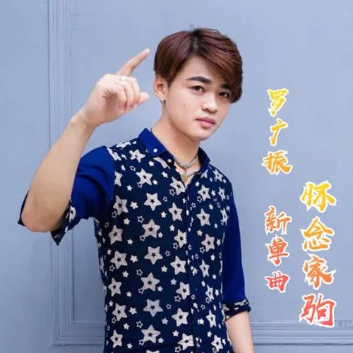 懷念家駒-羅廣振