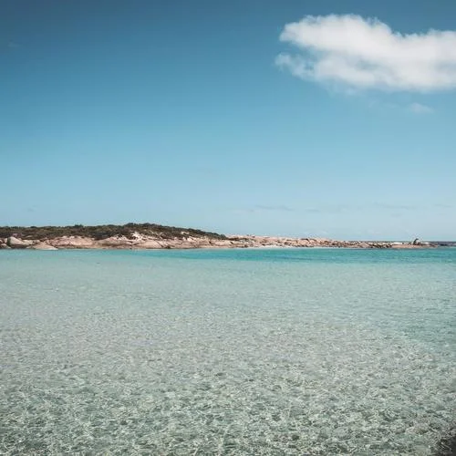 新年純音樂(lè)（經(jīng)典輕音樂(lè)）-輕松音樂(lè)