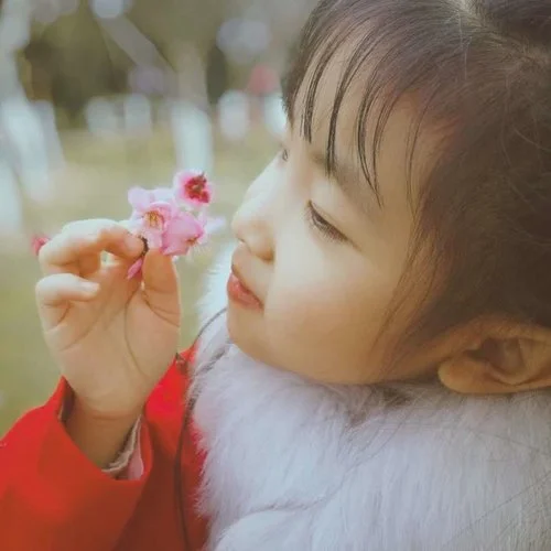 桃花笑（翻自 錦零） -任紫嫣