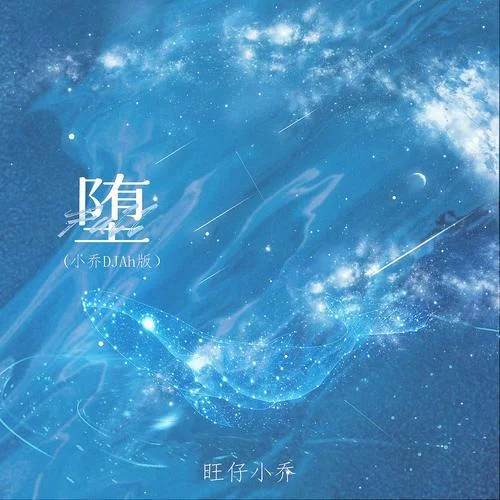 堕(小乔DJAh版)-旺仔小乔