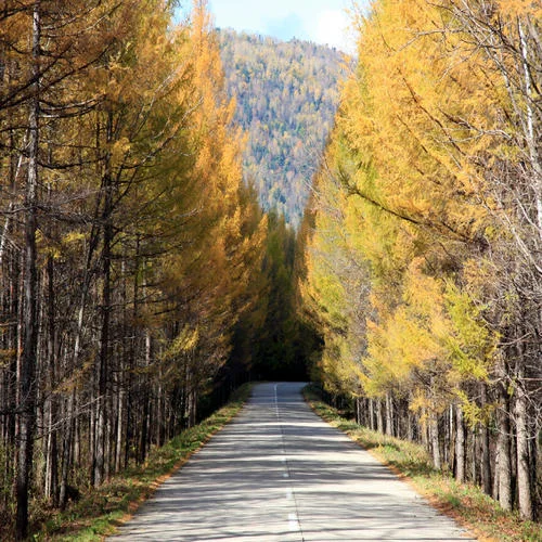 他只是經(jīng)過 (官方版）-h3R4