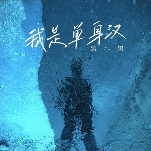 我是單身漢(DJ默涵版)-王麗華