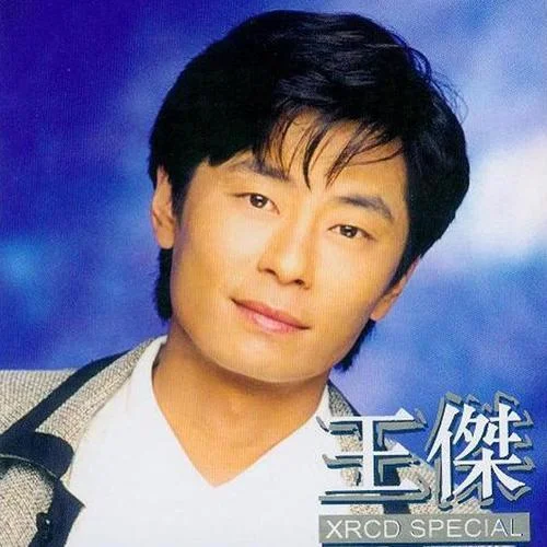 忘了你 忘了我-王杰