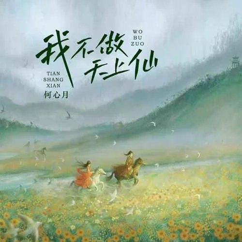 我不做天上仙-何心月