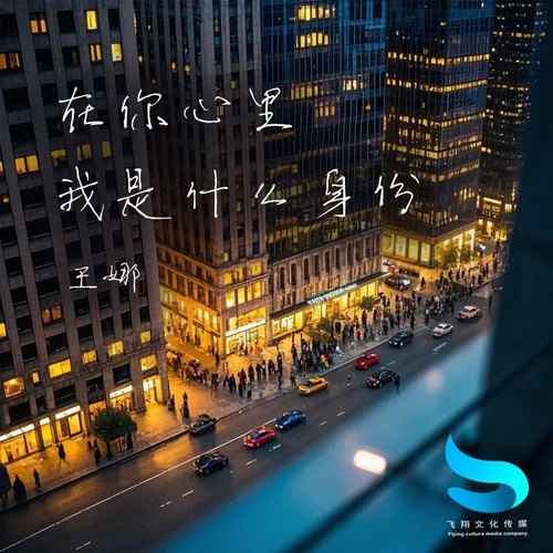 在你心里我是什么身份-王娜