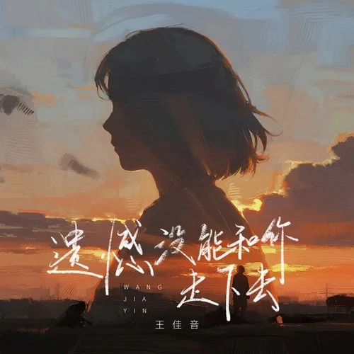 遺憾沒能和你走下去 (DJ九零版)-王佳音