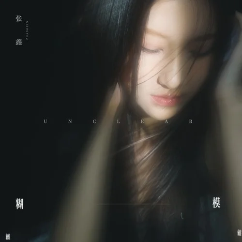 模糊-張鑫
