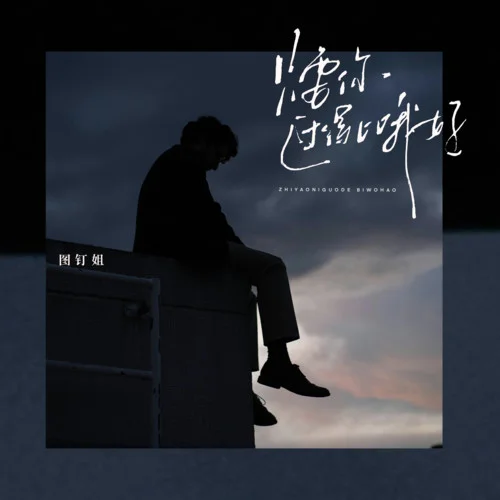 只要你過得比我好 (圖釘姐版)-圖釘姐