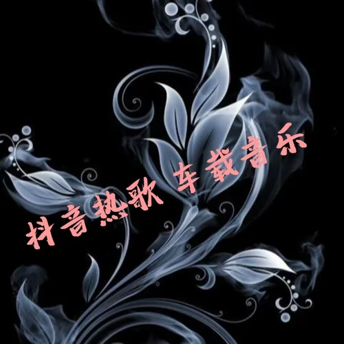 人生有許多難關(guān)要過 (DJ熱歌串燒版)-聲音戀人