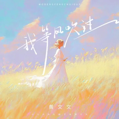 我等風(fēng)吹過 (DJ九零版)-黃文文