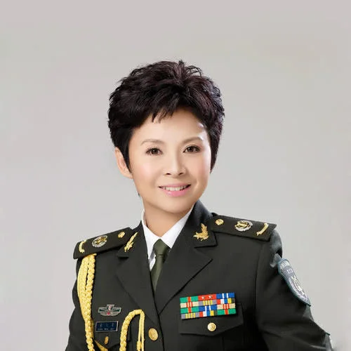 白發(fā)親娘-董文華