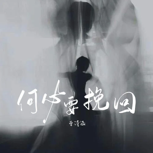 何必要挽回 (DJ阿能版)-曾詩(shī)涵