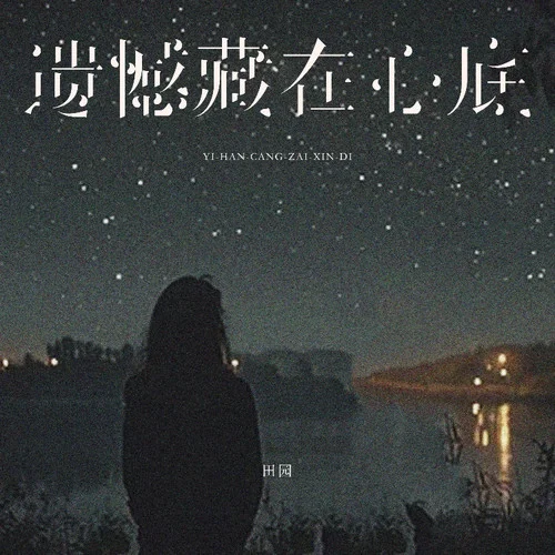 遺憾藏在心底 (DJ西米版)-田園