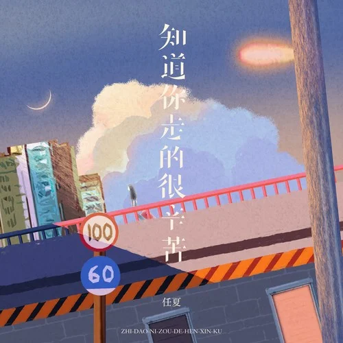 我知道你走的很辛苦-任夏