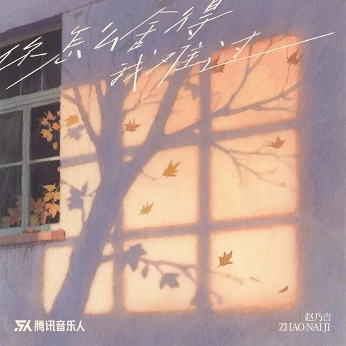 你怎么舍得我难过（深情版）-赵乃吉