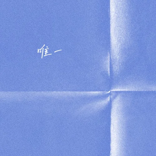 唯一 (伤感版)-太头针