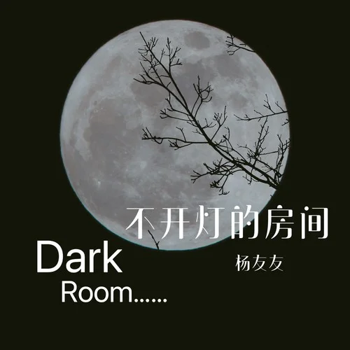 不開燈的房間-楊友友