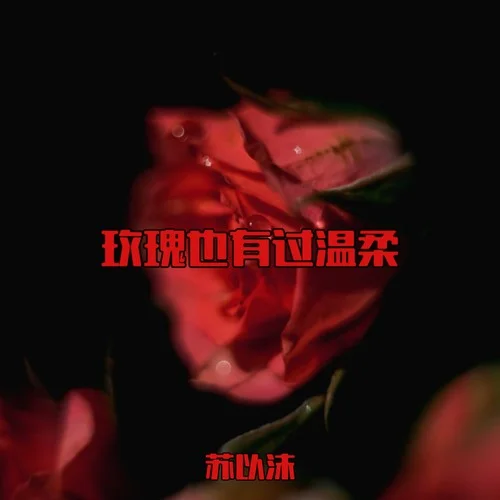 玫瑰也有過溫柔-蘇以沫