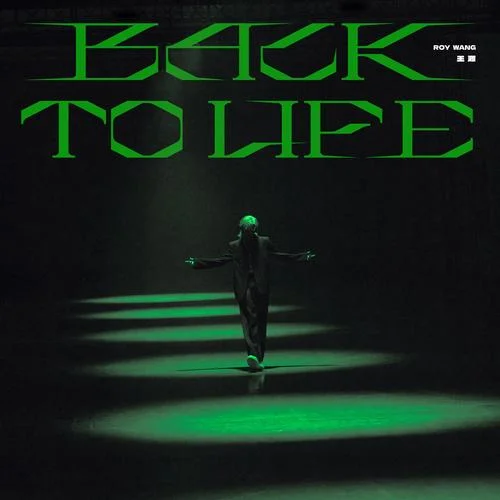 Back to Life-王源