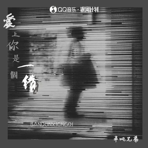 愛上你是一個(gè)錯(cuò)(DJ桃子阿版)-半噸兄弟