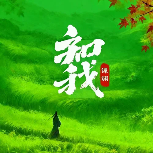 知我 (DJ降調(diào)版)-譚淵