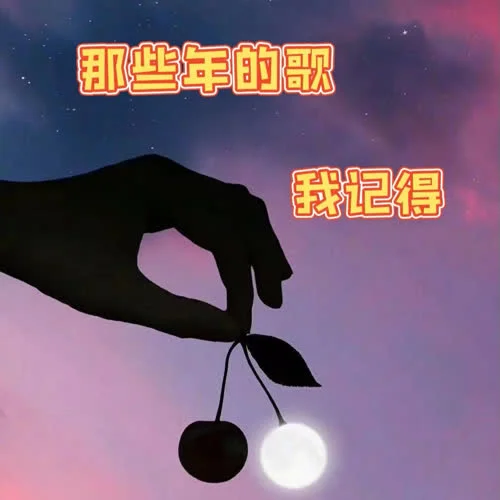 我们的歌-王力宏-芝麻开花