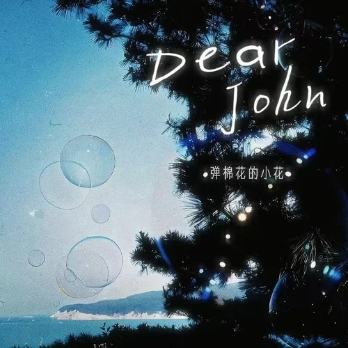 Dear John (小花版)-彈棉花的小花