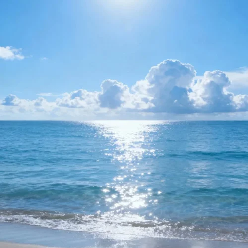 無(wú)情的情書(shū) (吾愛(ài)的親愛(ài)的摯愛(ài)的)-大頭針