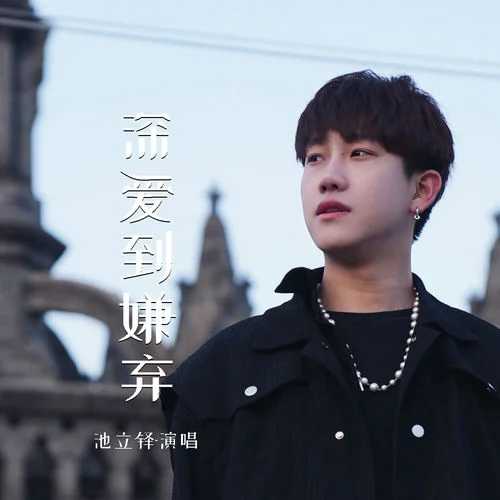 深爱到嫌弃-池立铎