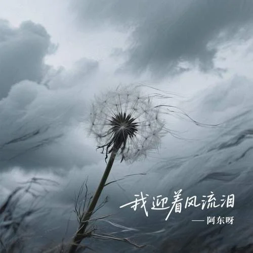 我迎著風流淚-阿東呀