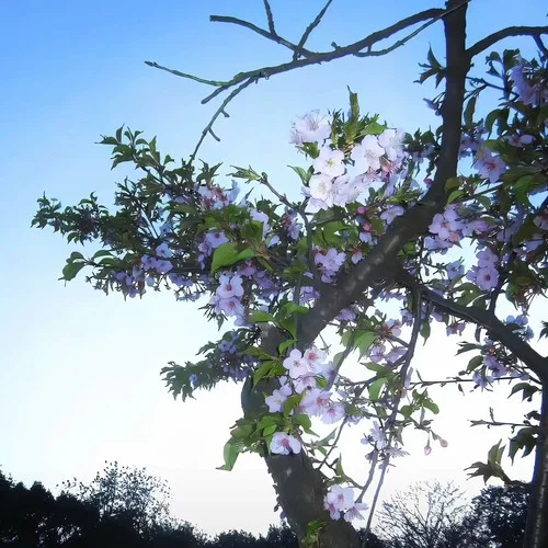 怎么說不愛你 (純音樂版)-DJMOUN