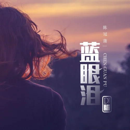 藍(lán)眼淚(DJ版)-陳冠蒲