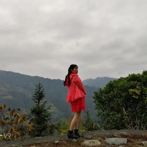 孤勇者----伴奏(伴奏)-李瑞梅