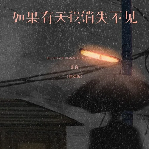 如果有天我消失不見 (律動版)-張良