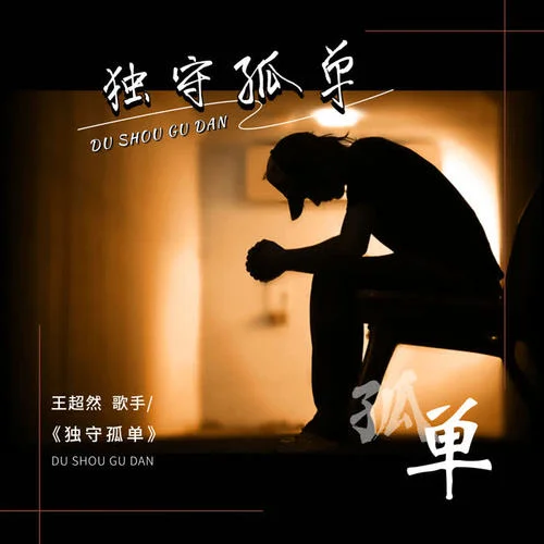 獨守孤單(DJ阿能版)-王超然