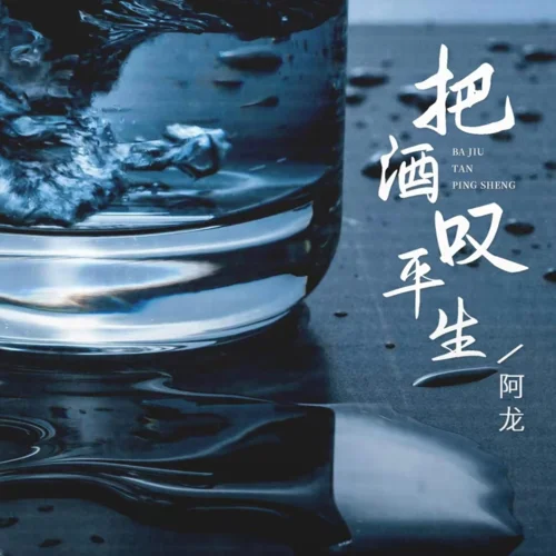 把酒嘆平生(DJ范小松版)-阿龍