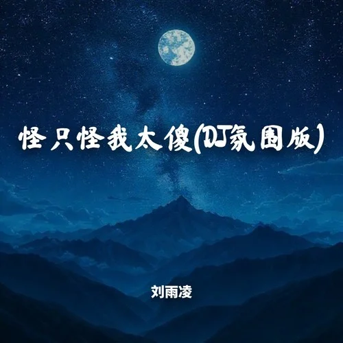 怪只怪我太傻(DJ氛圍版)-劉雨凌