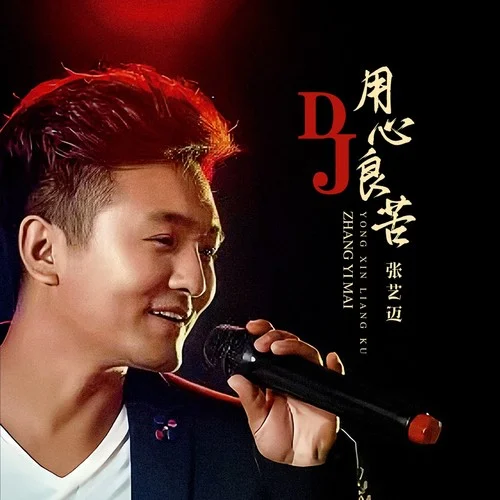 雨一直下 (DJ默涵版)-張藝邁