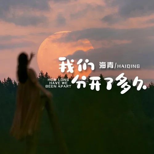 我們分開了多久 (DJ阿卓版)-海青[女]