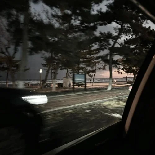 凌霄花-東Official